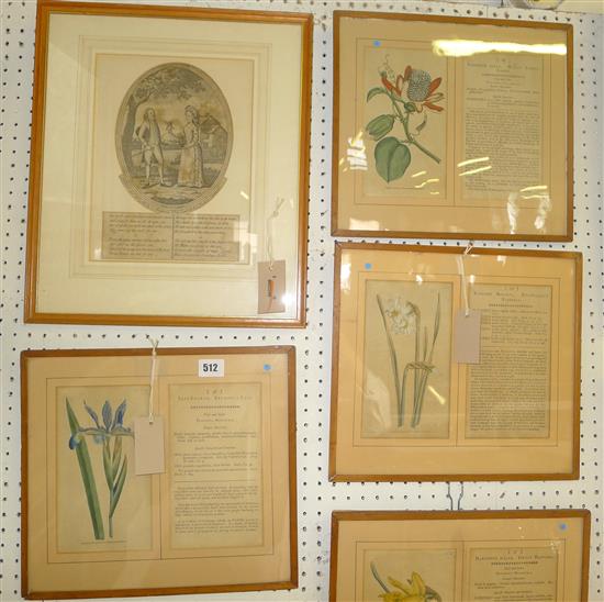 Four botanical prints and an engraving